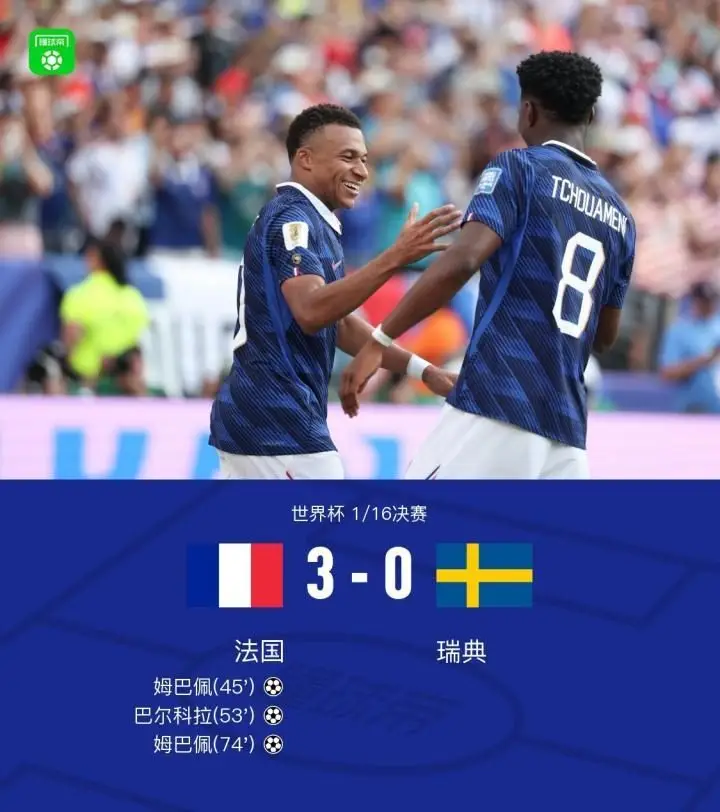法国队与瑞典队比赛瞬间
